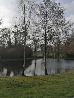 galeriedomainecorbelande1